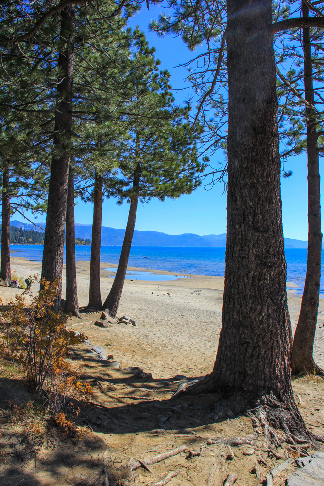 Lake Tahoe | The 3 Star Traveler