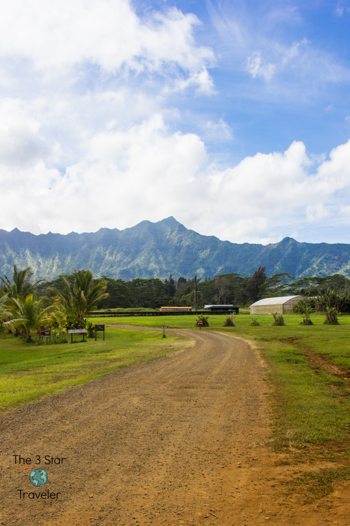 Along the Wai Koa Loop Trail | 5 Ways to Stay Active in Kauai | The 3 Star Traveler